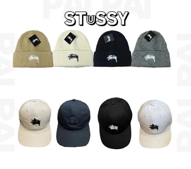 STUSSY HAT