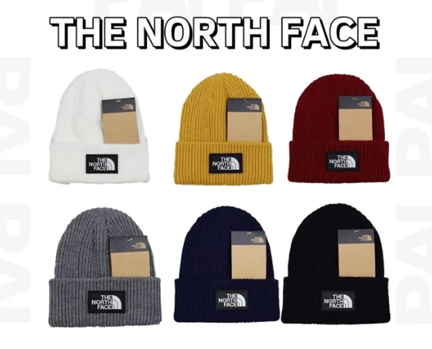 THE NORTH FACE HAT